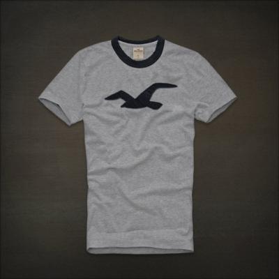 Hollister Men Shirts-431